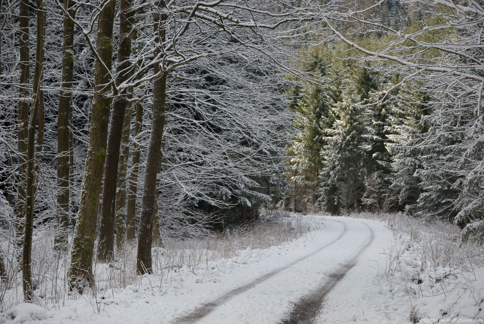 how to ride a motorcycle in snow